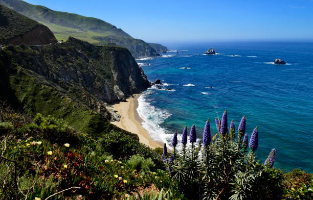 istock Beautiful coastline scenery with ocean waves and rocks on Pacific Coast 1173325222