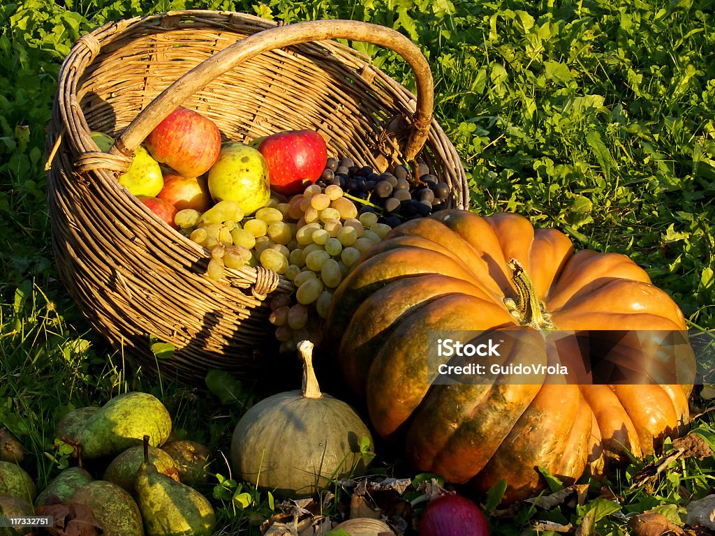 Autumn composition A composition of autumnal fruits and vegetable Agriculture Stock Photo Autumn composition A composition of autumnal fruits and vegetable Agriculture Stock Photo