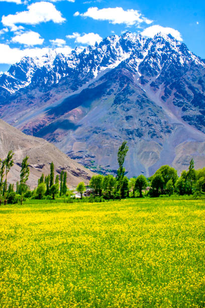 istock Pakistani Lakes, Landscape, River & Mountain. 1173328699