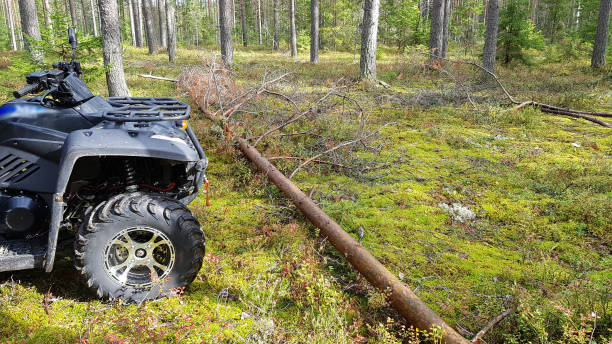 istock Quad bike in forest moving through fallen tree 1173329516