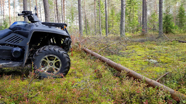 istock Quad bike in forest moving through fallen tree 1173329529