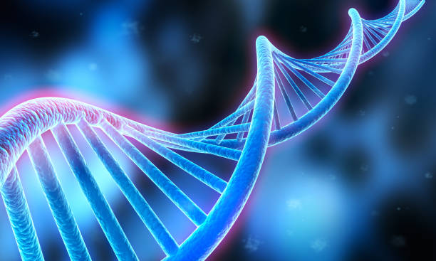 dna sequence, dna code structure - medical 3d illustration - helix imagens e fotografias de stock