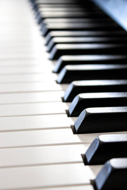 istock Piano keyboard, musical instrument, macro view 1173329893