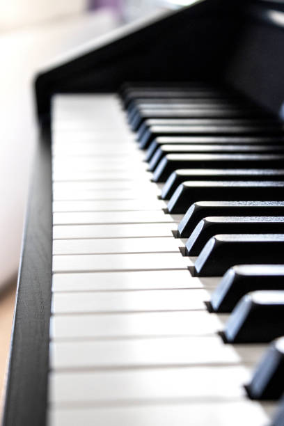 istock Piano keyboard, musical instrument, macro view 1173330101