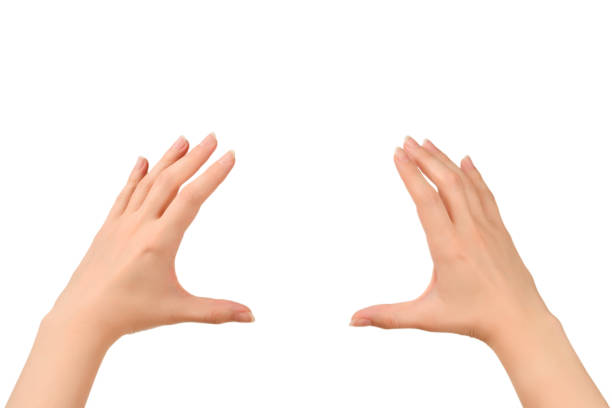istock Woman hands wanting or asking for something, copy space. 1173331105