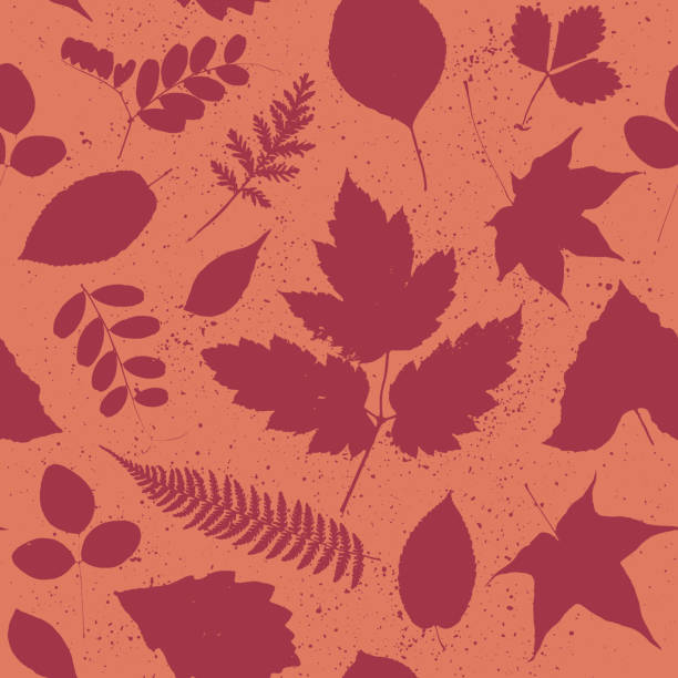bezszwowy wzór lasu z jesiennymi sylwetkami liści. - elm tree autumn leaf tree stock illustrations