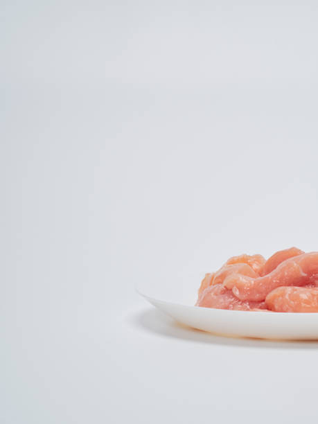istock Heap of small piece raw chicken in a white plate 1173337652