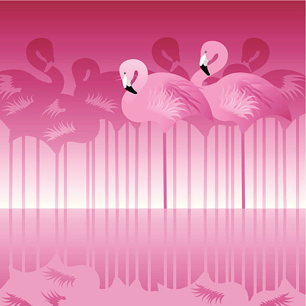 Abstract Flamingo vector art illustration