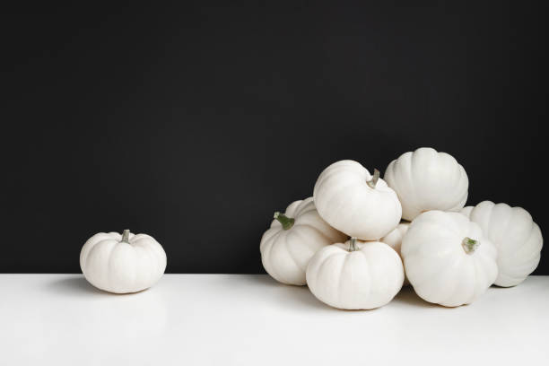 Halloween concept background with white pumpkin and black background. Minimal and trendy, copy space. Halloween styled black and white pumpkins katt halloween stock pictures, royalty-free photos & images