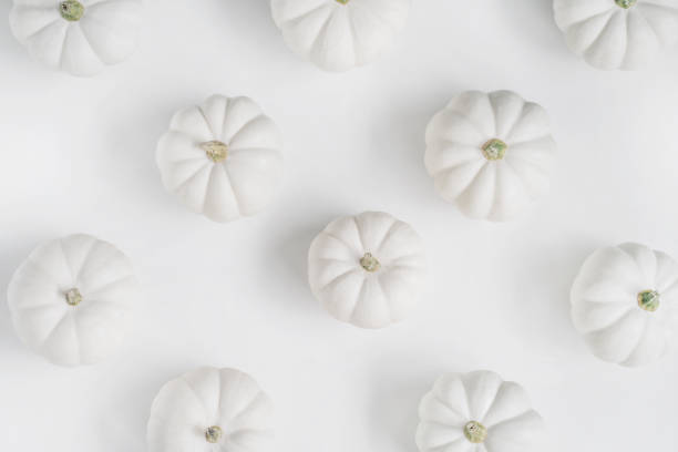 White pumpkins isolated on white top view aerial image. Halloween day background concept Minimal flat lay Halloween styled minimal background katt halloween stock pictures, royalty-free photos & images