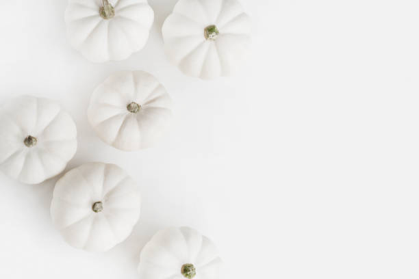 istock White pumpkins isolated on white top view aerial image. Halloween day background concept Minimal flat lay 1173339092