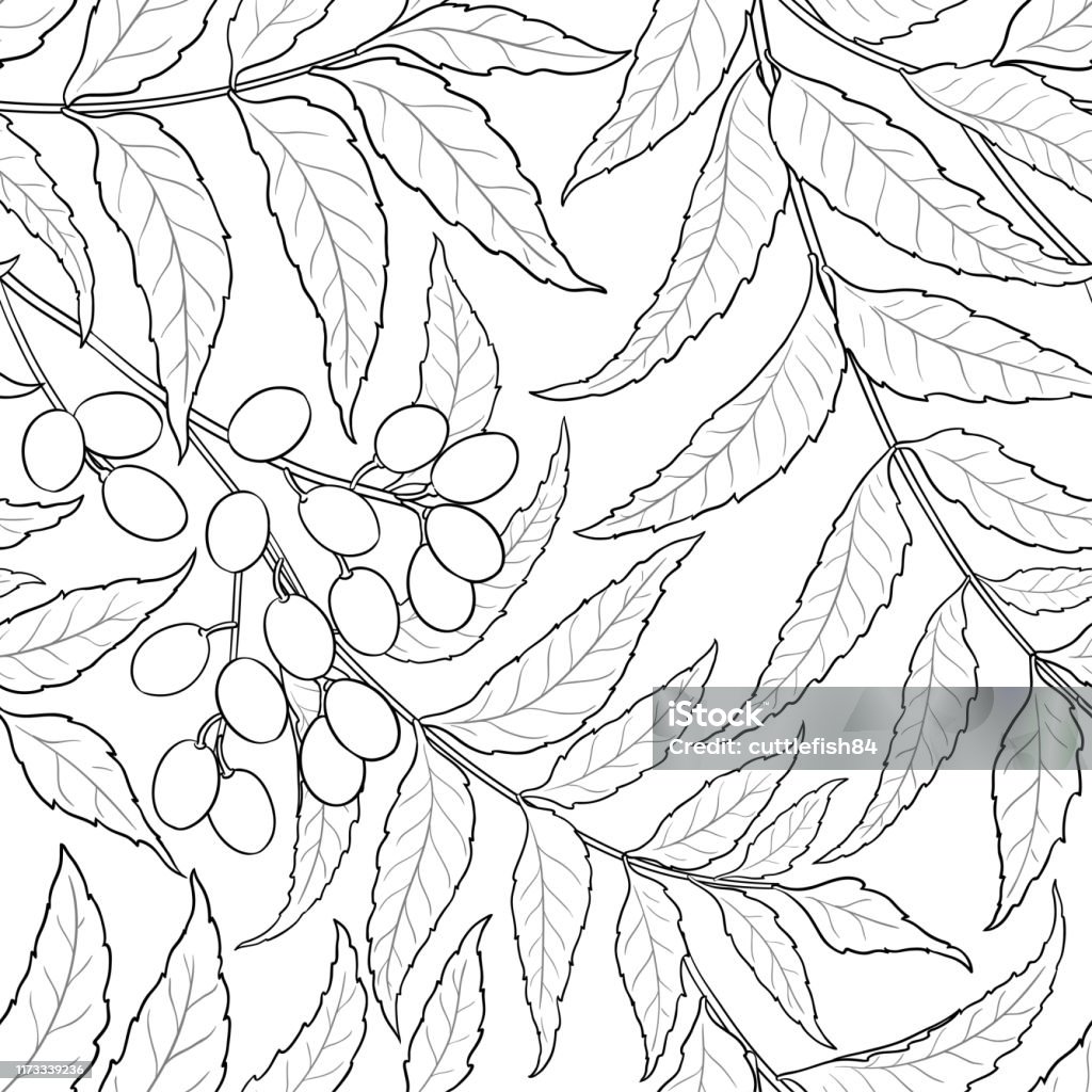 Neem Patterns Neem Vector Pattern Stock Illustration - Download Image Now - Neem Tree ...