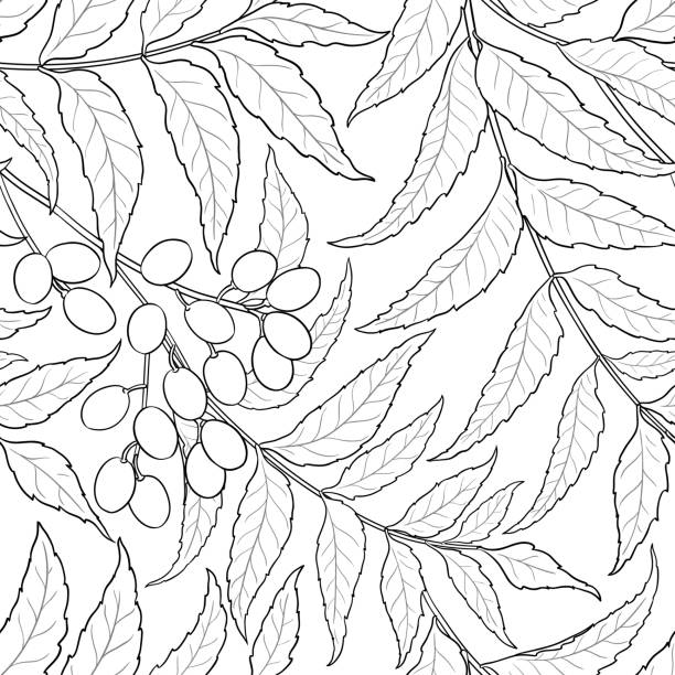 Draw Abstract Neem Tree How To Draw Neem Tree Leaves