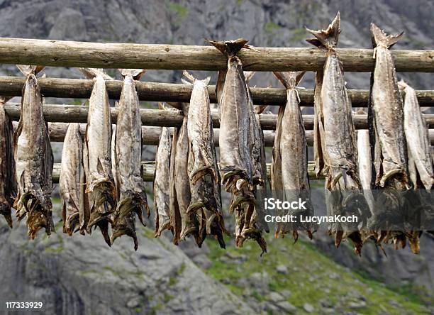 Fish Uhr Rack Stockfoto und mehr Bilder von Berg - Berg, Farbbild, Fels