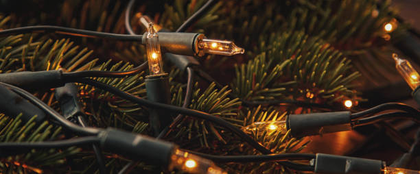 istock Christmas lights and branches of spruce 1173340116