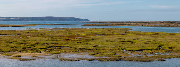 イギリス、リンミントンの海辺の湿地帯 - lymington ストックフォトと画像