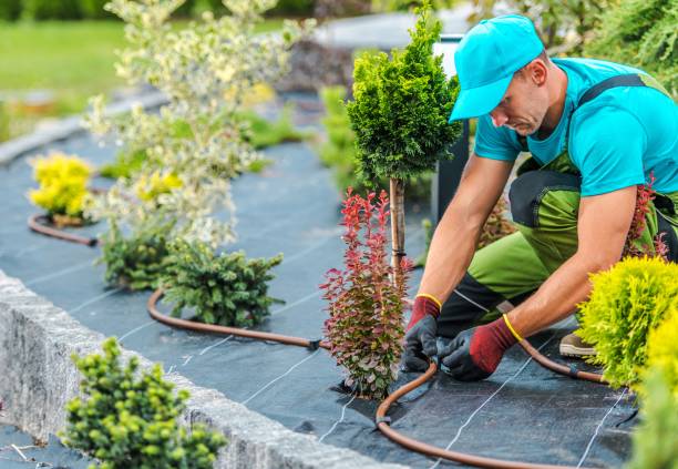 Plants Irrigation System Professional Caucasian Gardener Building Plants Irrigation System in Developed Garden. Industrial Theme. landscaped stock pictures, royalty-free photos & images