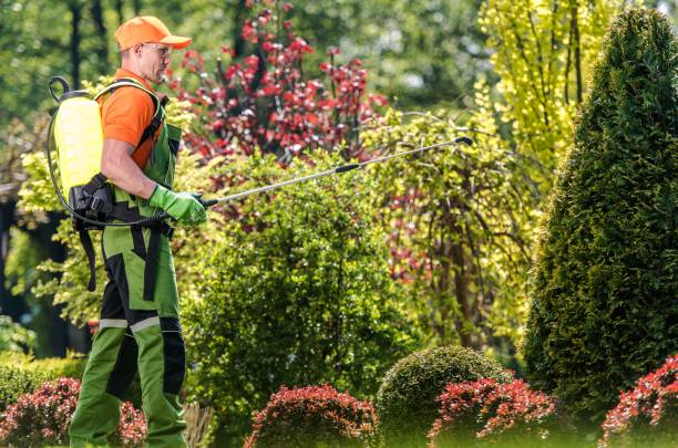 istock Gardener Applying Fertiliser 1173342307