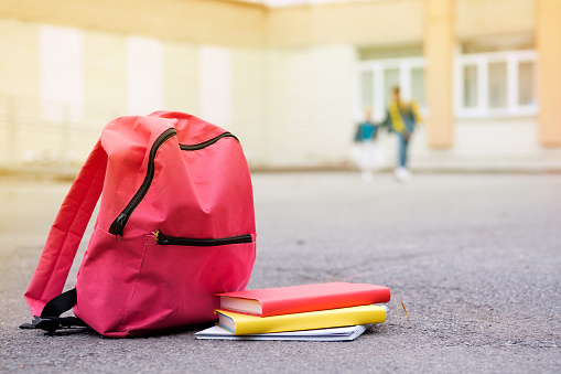Pink backpack and colorful books on school background