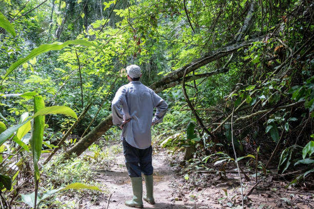 istock Back view of young adventure tourist at Amazonian rainforest 1173343777