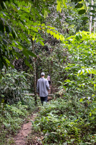 istock Back view of young adventure tourist at Amazonian rainforest 1173343787