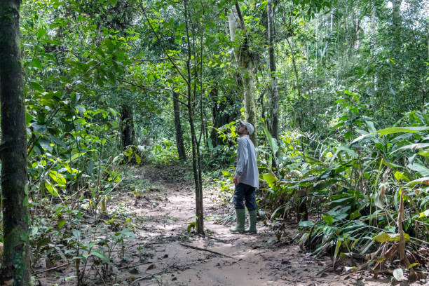 istock Back view of young adventure tourist at Amazonian rainforest 1173343820