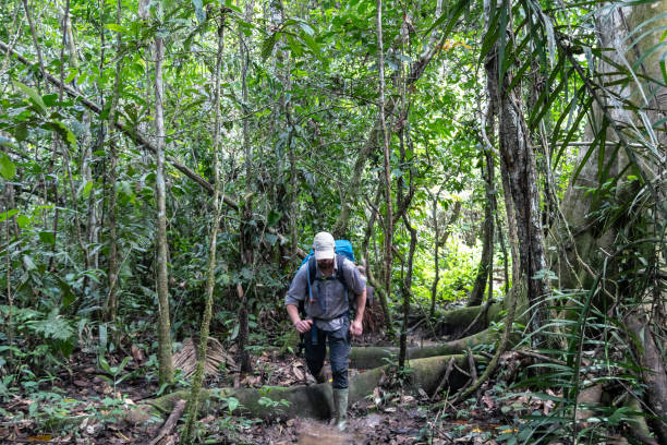 istock Young adventure tourist at Amazonian rainforest 1173343960