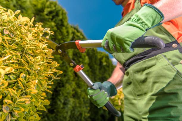 istock Landscaping Industry Job 1173344067