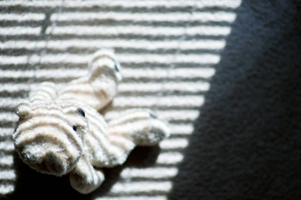 a toy bear sits on the floor and is illuminated by sunlight through the blinds