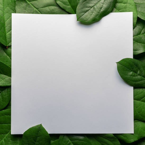 istock Creative layout made of green leaves with paper card note. Flat lay. Nature concept. 1173345579
