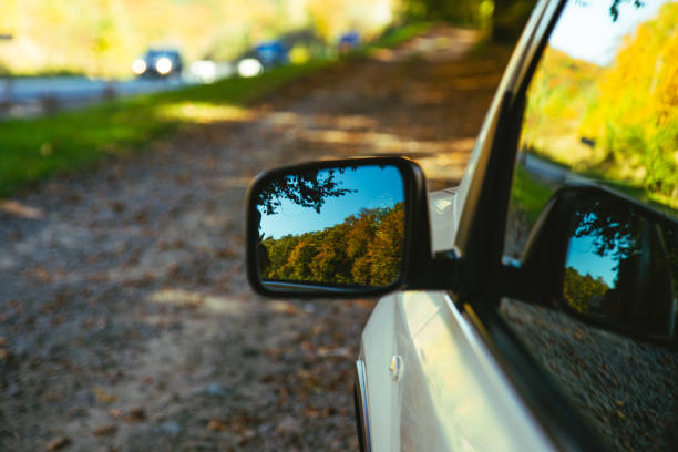 istock car close up reflection of yellow trees in mirror 1173345711