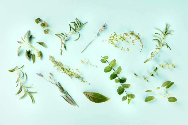 istock Culinary aromatic herbs, shot from the top on a teal blue background, cooking pattern 1173345847