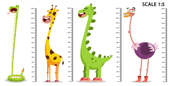 Children's meter wall with a cartoon giraffe, dinosaur, ostrich, snake and ruler. Vector set.