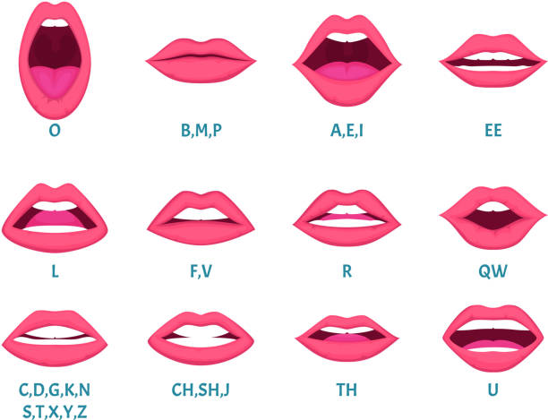 Female mouth animation. Sexy lips speak sounds pronunciation english letters animation frames vector template. Animation expression, facial talk and speak english language illustration