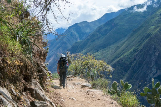 istock Young hiker man trekking with backpack in Peruvian Andes mountains, Peru, South America 1173347747