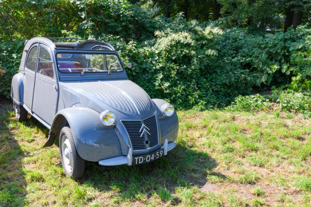 citroen 2cv французский классический семейный автомобиль, припаркованный в поле - citroën 2cv стоковые фото и изображения