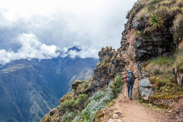 Young hiker man trekking with backpack in Peruvian Andes mountains, Peru, South America Young hiker man trekking with backpack in Peruvian mountains. Active outdoor vocation getaway hiking in Peru travel destinations 20s adult adventure stock pictures, royalty-free photos & images