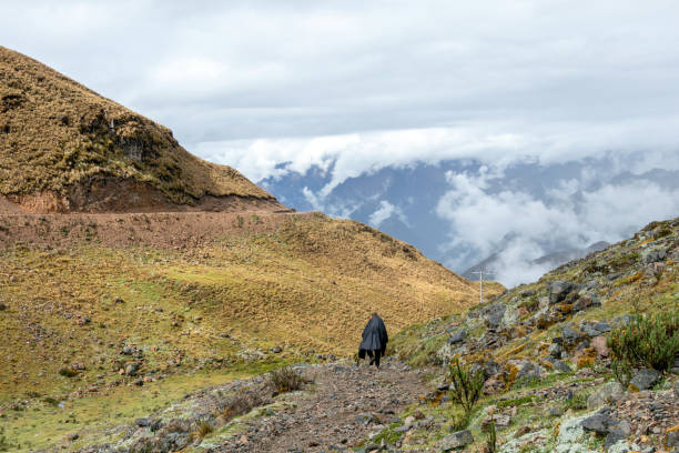 Young hiker man trekking with backpack in Peruvian mountains. Active outdoor vocation getaway hiking in Peru