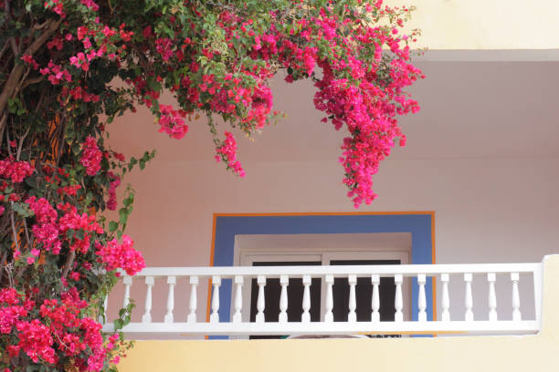 istock Romantic balcony with beautiful wicker flowers. Flowers. 1173348584
