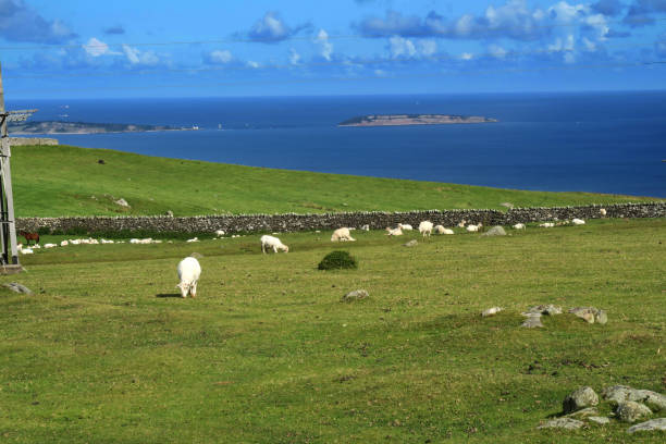istock Overlooking the Irish Sea 1173348920