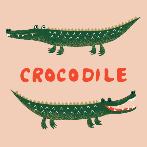 Two cute cartoon crocodiles, funny kids print. Vector hand drawn illustration. Two cute cartoon crocodiles, funny kids print. Vector hand drawn illustration. crocodile stock illustrations