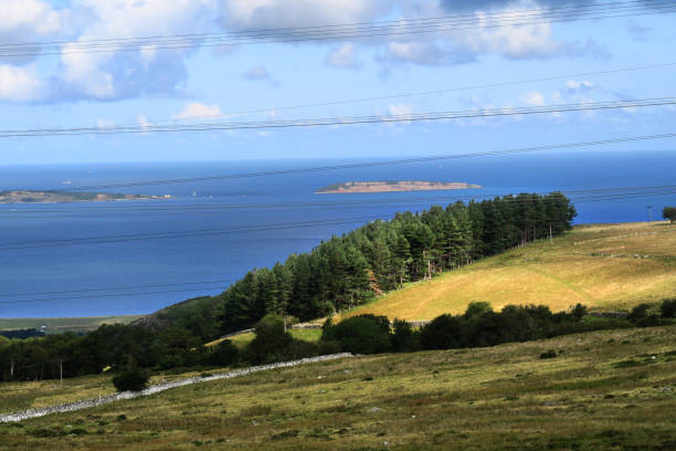 istock Overlooking the Irish Sea 1173349984