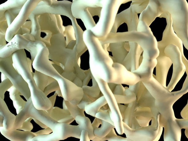 istock Osteoporosis look into the bone 3d rendering 1173351315