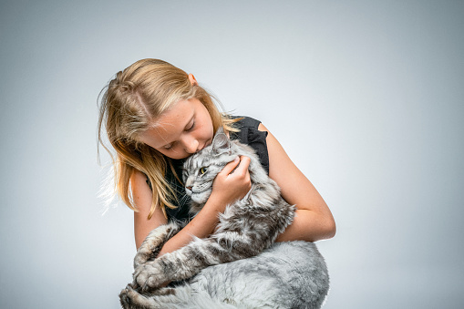 Loving girl embracing Maine Coon. Little female with her furry pet. They are over isolated background.