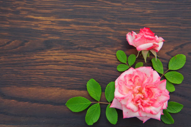 Roses with green leaves over wooden table. Top view with copy space