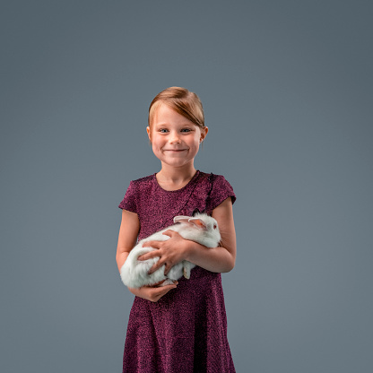 Portrait of little girl holding rabbit. Female is carrying small animal. She is wearing casuals against gray background.