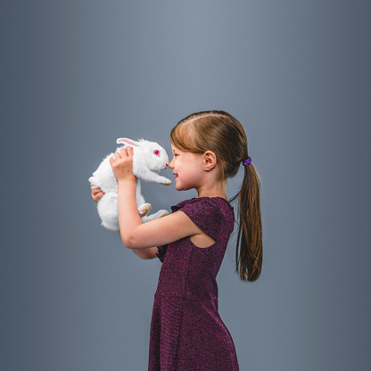 Little female holding white rabbit. Loving girl with fluffy pet. She is standing against blue gray background.