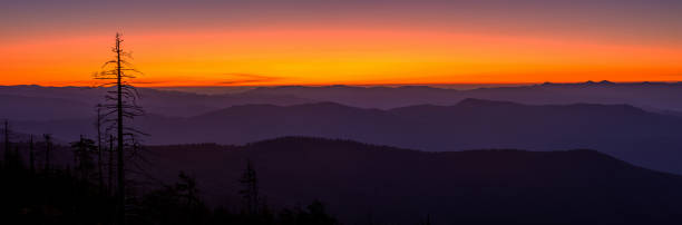 스모키 마운틴 선라이즈 - great smoky mountains great smoky mountains national park panoramic sunrise 뉴스 사진 이미지