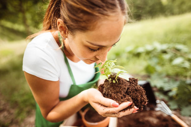 istock taking care of the plant 1173354116