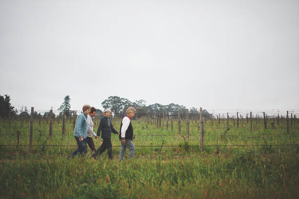 istock Active seniors women walking together outdoors side view wide 1173354345